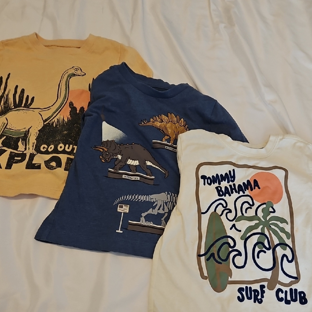 3 3T boy T-shirts